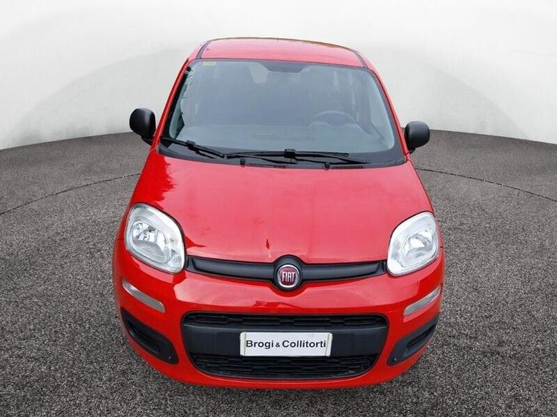 FIAT Panda III 2016 1.2 Easy s&s 69cv my19