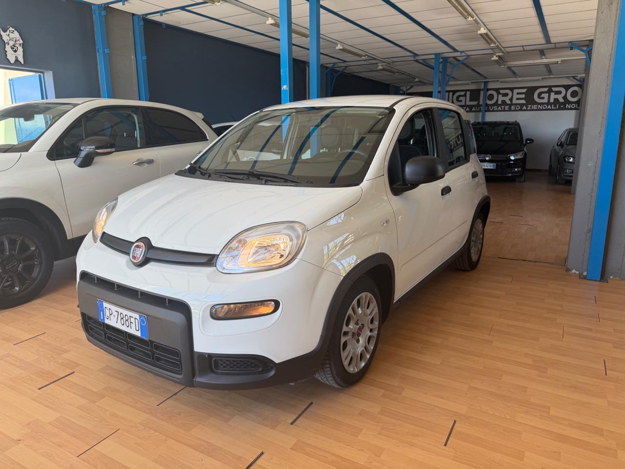 Fiat Panda 1.0 benz/ibrida 2023 Nuova