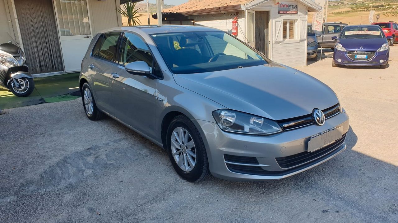 Volkswagen Golf 1.6 Tdi 5p. Highline Bluemotion Technology