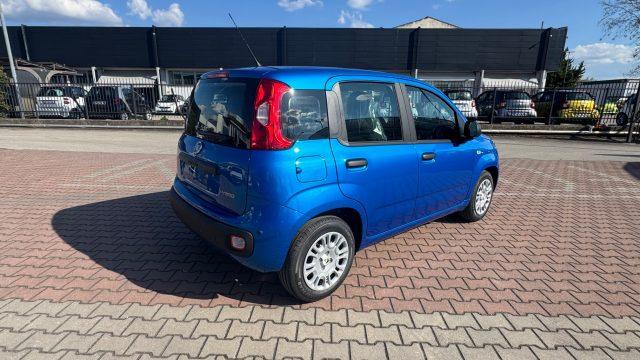 FIAT Pandina 1.0 FireFly Hybrid 65cv POP KMO