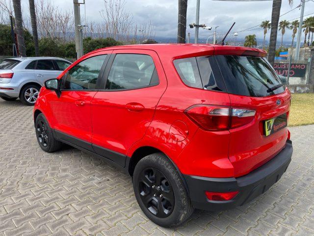 FORD EcoSport 1.5 TDCi 100 CV Start&Stop Business