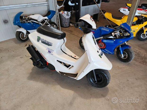 Minimoto Vittorazzi Polini ZPF Stamas DM Artigiana