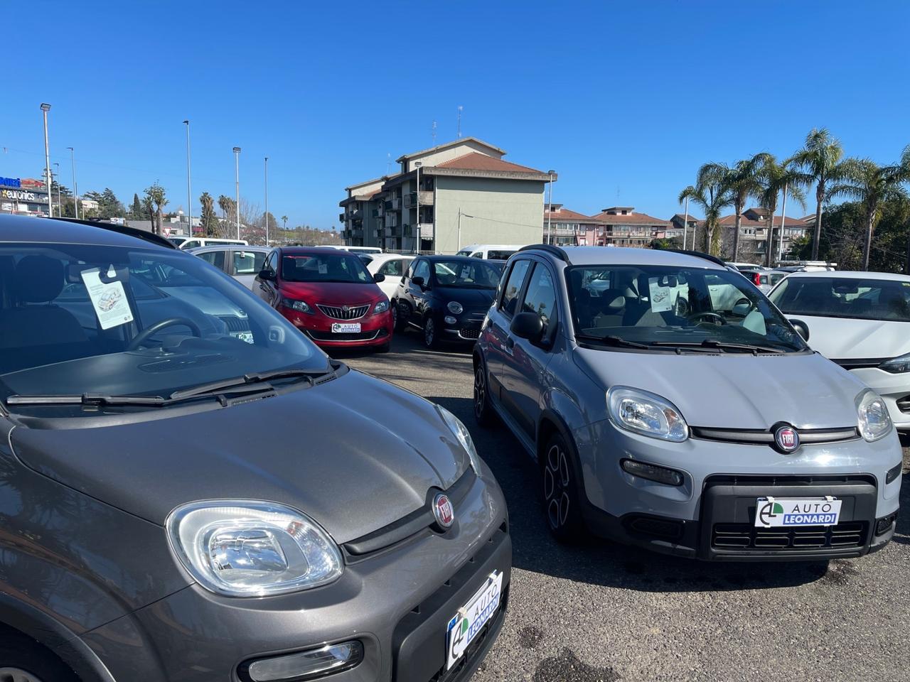 Fiat Panda 1.0 FireFly S&S City Life vari colori