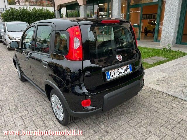 FIAT Panda 1.0 FireFly S&S Hybrid PREZZO VERO