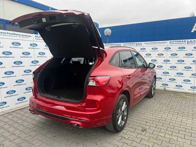 Ford Kuga 1.5 EcoBlue 120 CV 2WD ST-Line X