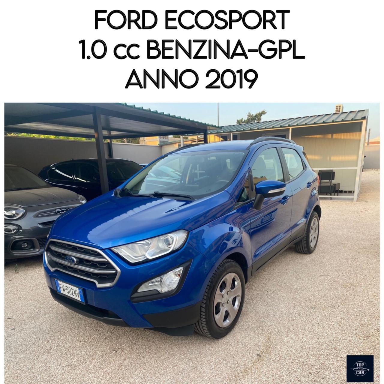 Ford EcoSport 1.0 EcoBoost 100 CV Business