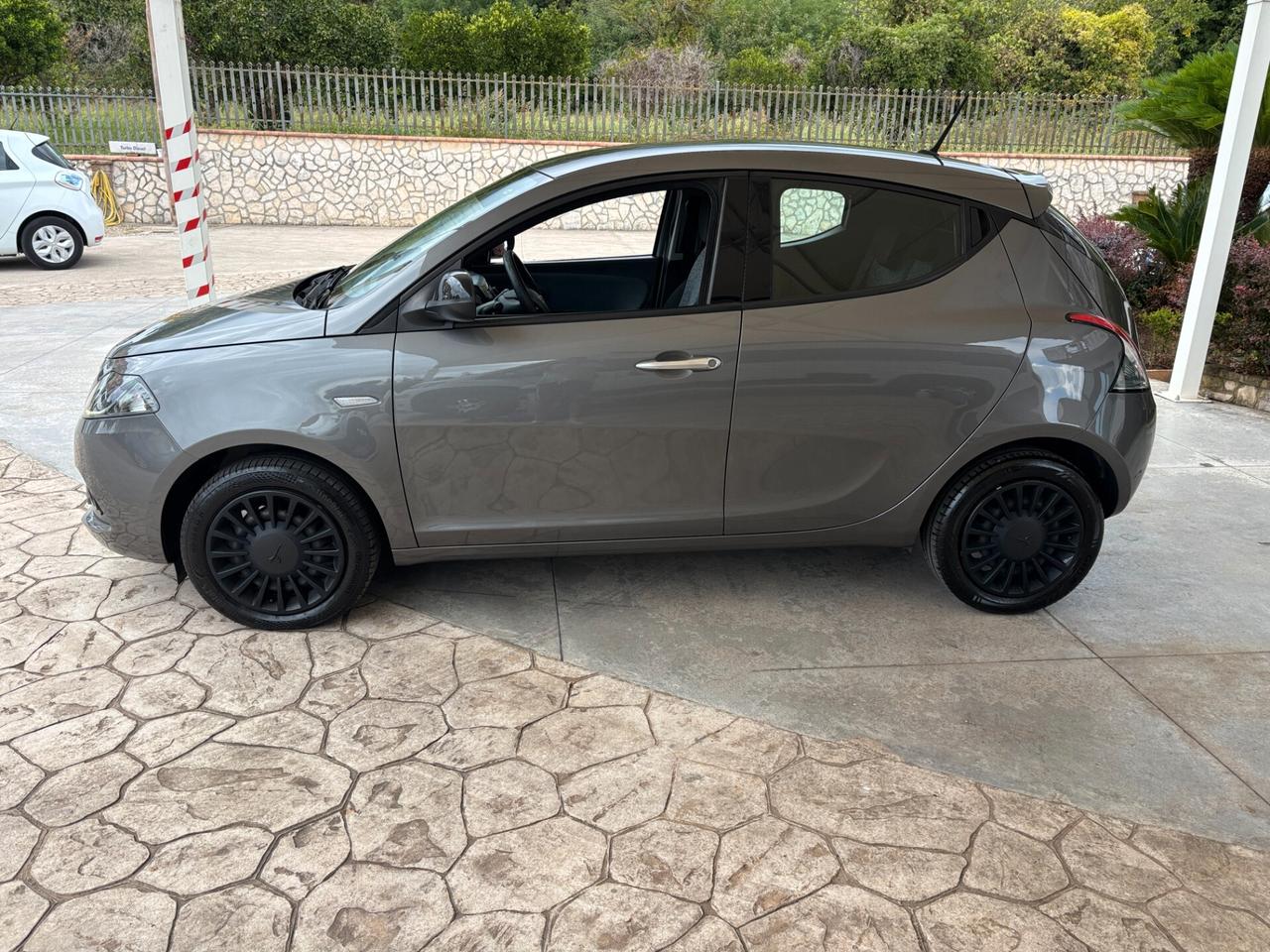 Lancia Ypsilon 1.2 69 CV GPL Alberta Ferretti-2022