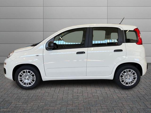 FIAT Pandina Pandina Pop