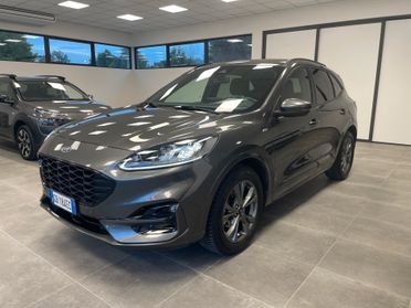 Ford Kuga 2.0 EcoBlue 190 CV aut. AWD ST-Line X