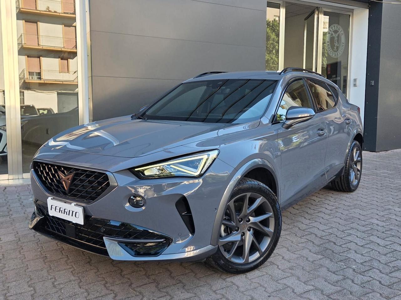 Cupra Formentor 2.0 TDI 4Drive DSG