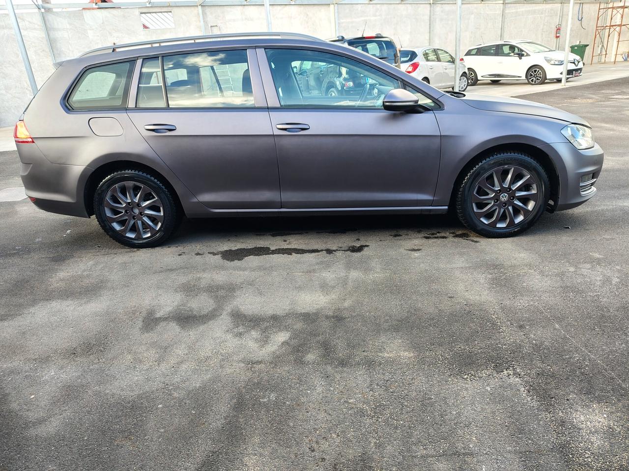 Volkswagen Golf Variant 1.4 TGI 5p. Executive BlueMotion