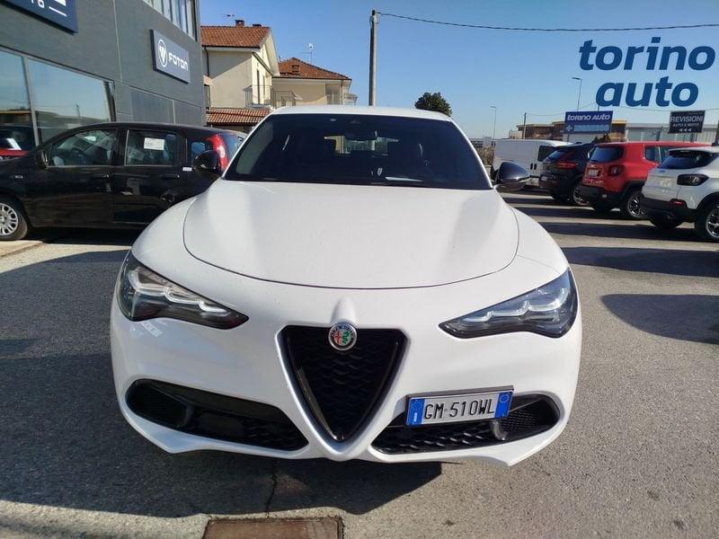 Alfa Romeo Stelvio Stelvio 2.2 Turbodiesel 160 CV AT8 RWD Competizione