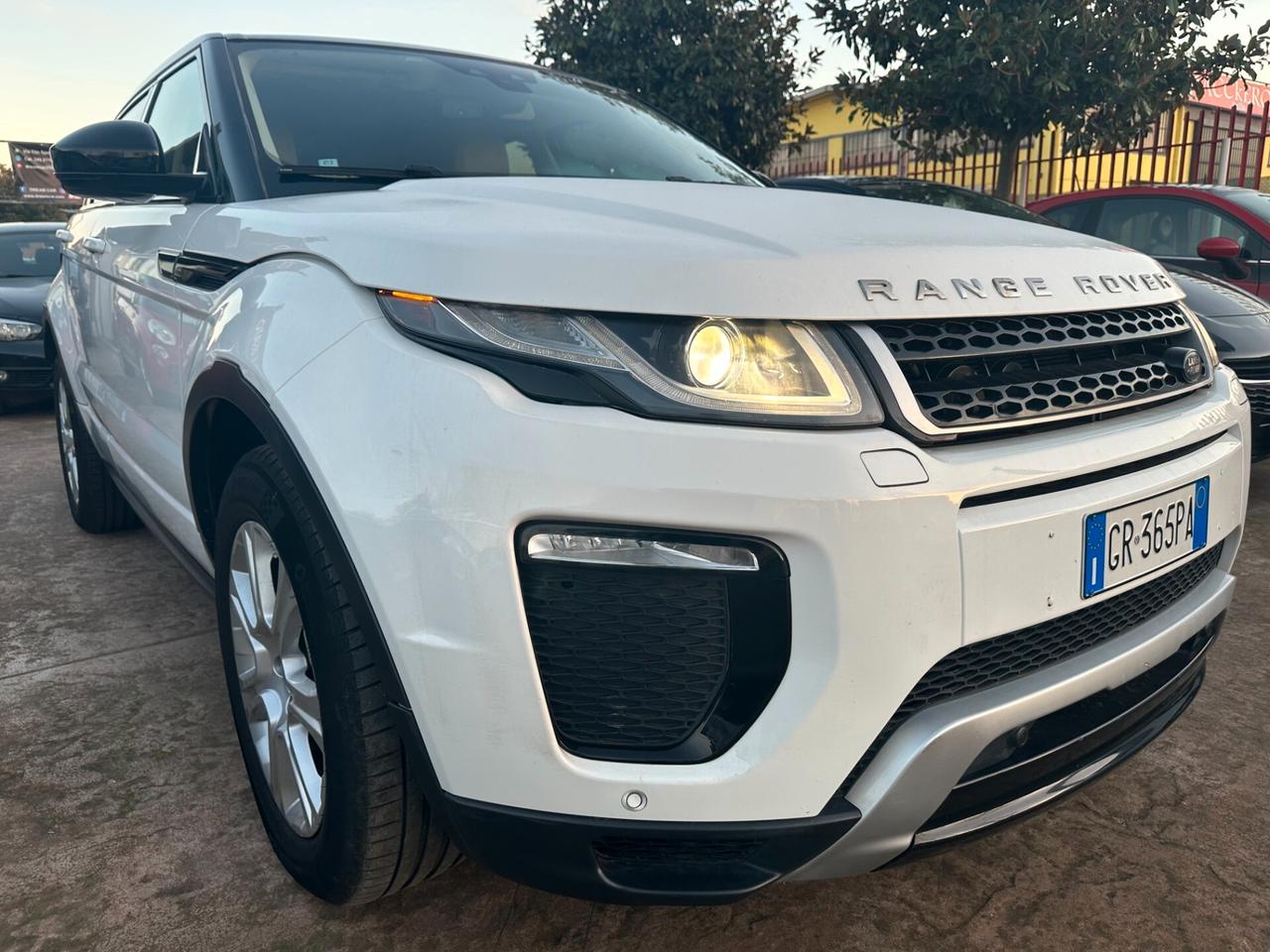 Land Rover Range Rover Evoque Range Rover Evoque 2.0 TD4 150 CV 5p. Pure