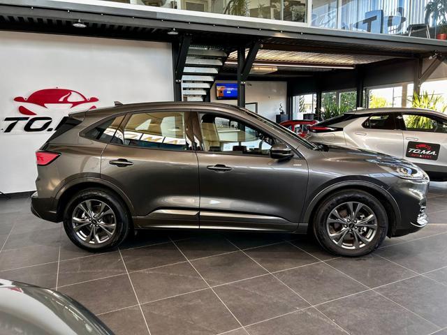 FORD Kuga 2.0 EcoBlue 120 CV aut. 2WD ST-Line