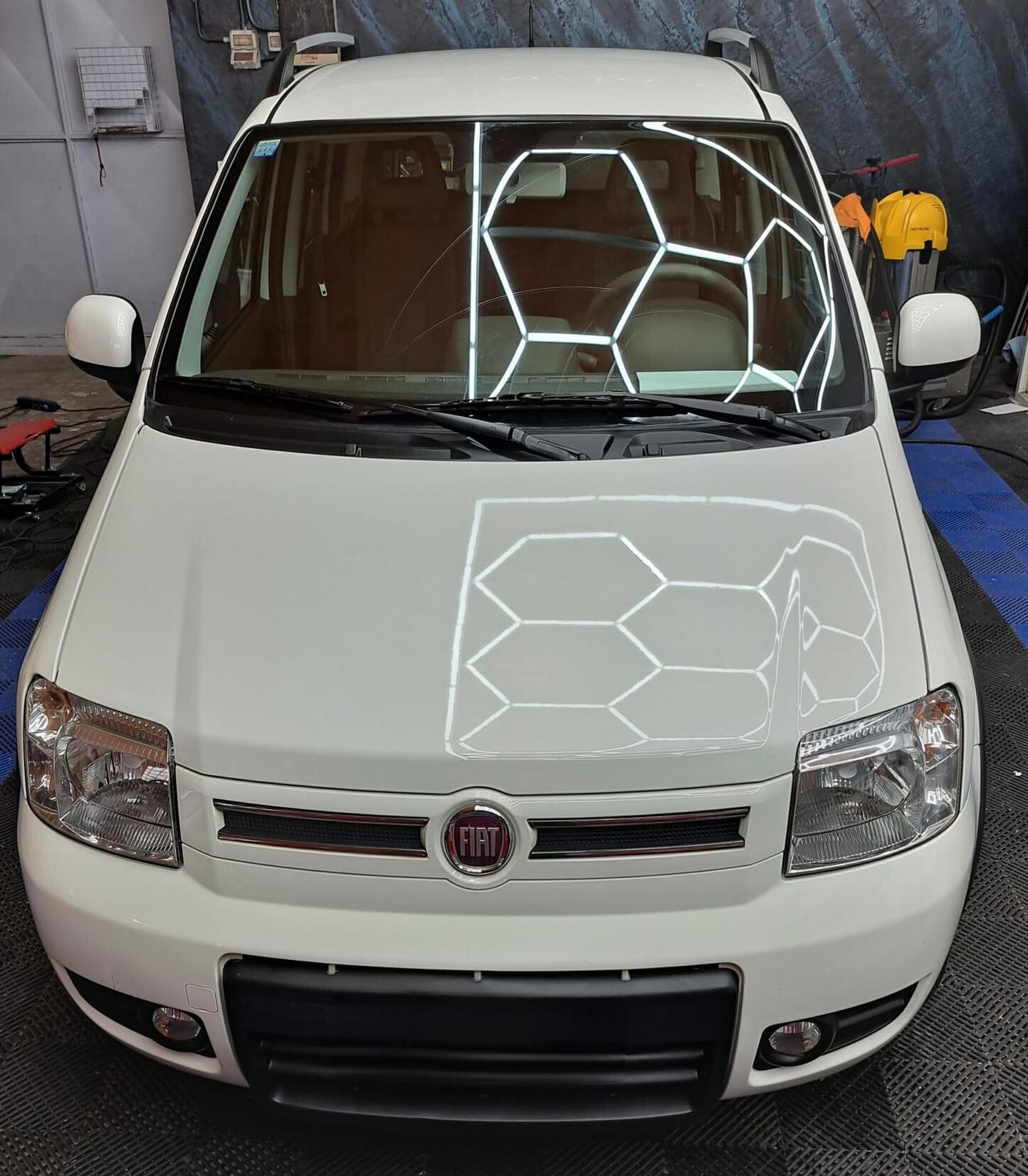 Fiat Panda 1.3 MJT 16V DPF 4x4 Climbing