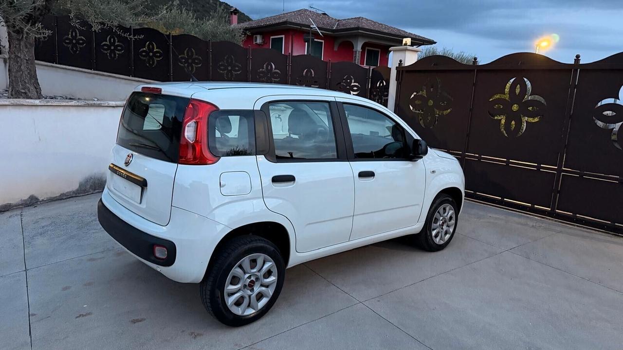 Fiat Panda NATURAL POWER METANO BENZINA CLIMA UNIPRO'