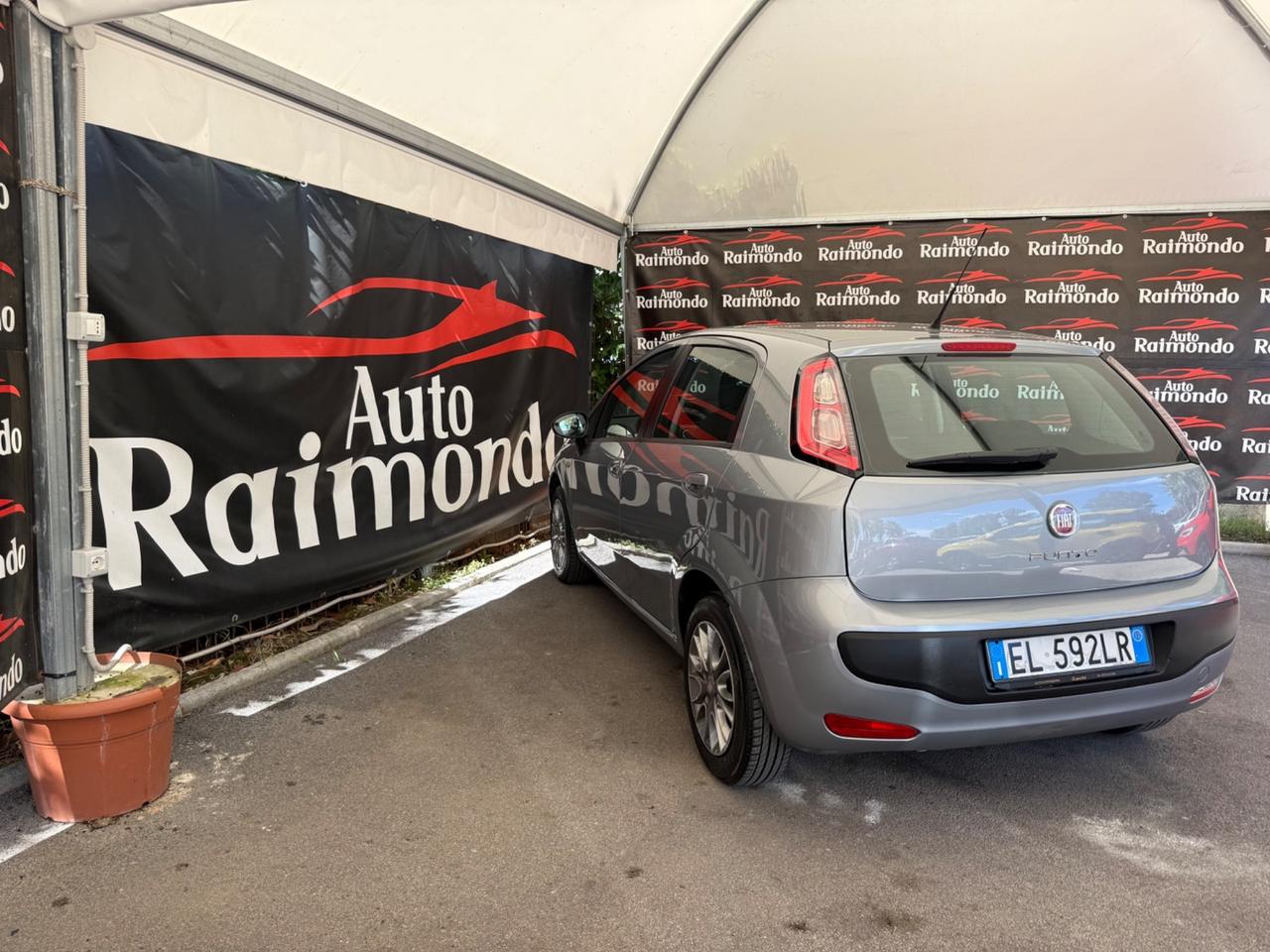 Fiat Punto Evo 1.2 Benzina Dynamic
