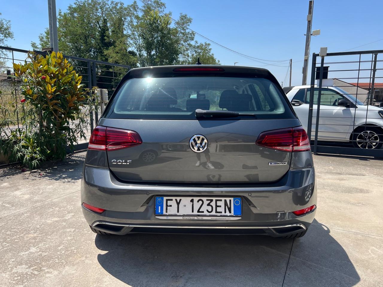 Volkswagen Golf 1.5 TGI DSG 5p. Executive BlueMotion Technology