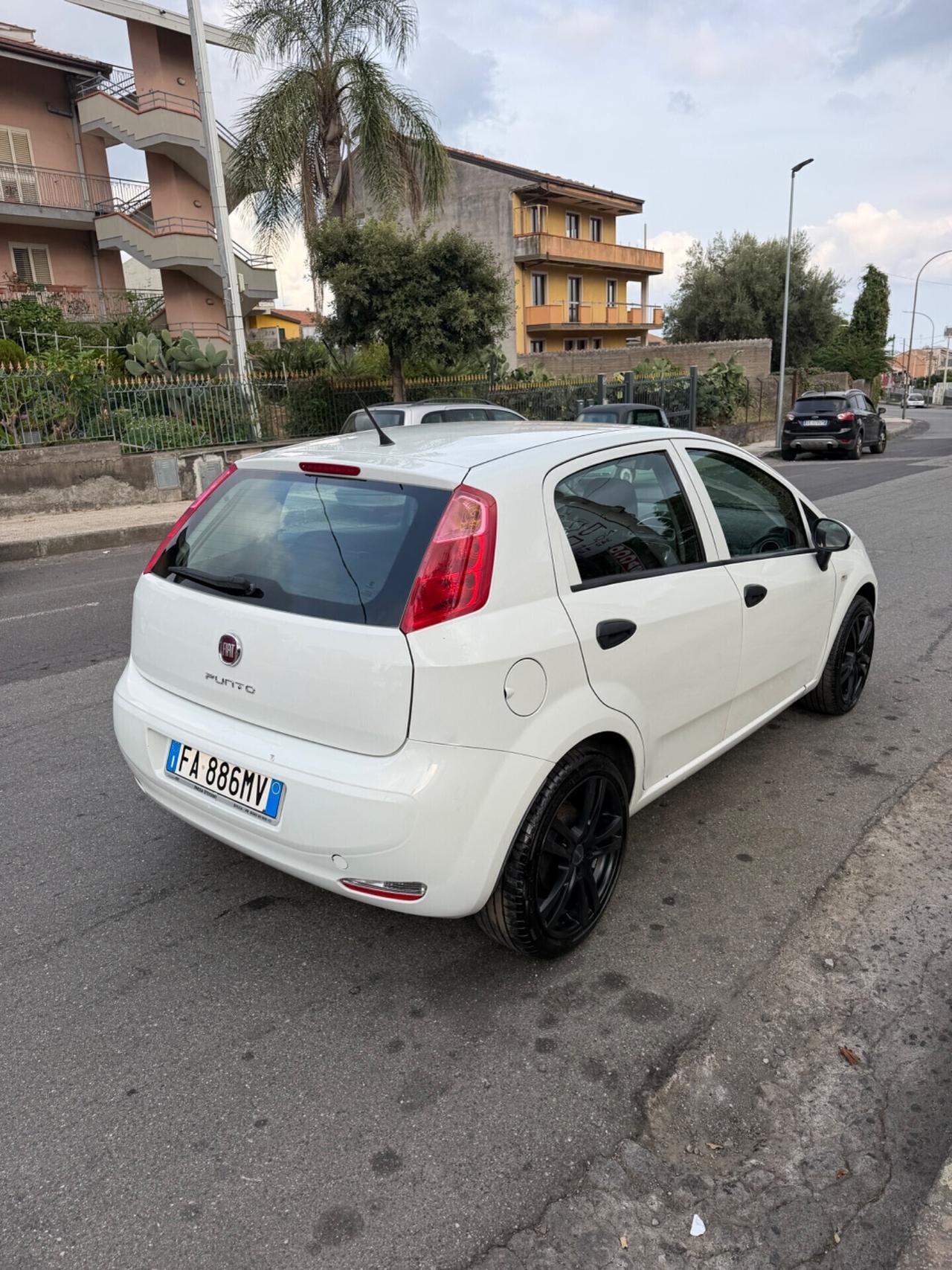 Fiat Punto 1.3 MJT II 75 CV 5 porte Street