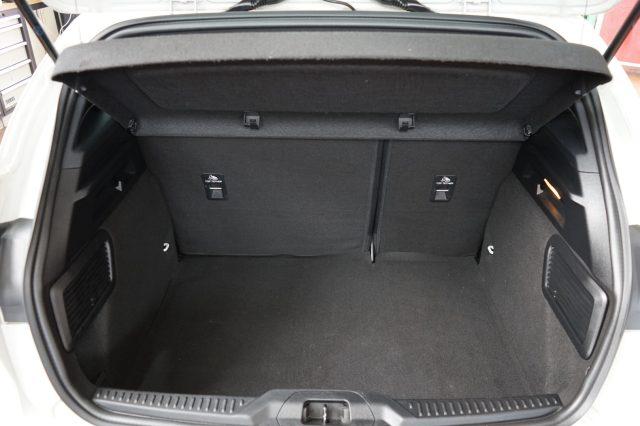 FORD Focus 1.5 EcoBlue 120 CV automatico 5p. ST-Line Co-Pilot