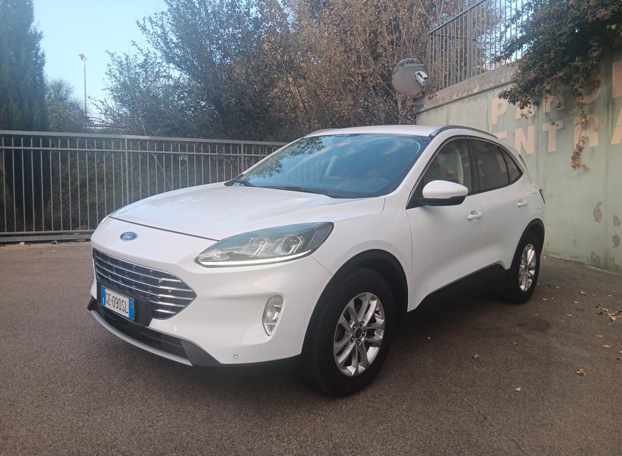 Ford Kuga 1.5 EcoBlue 120 CV 2WD Titanium Business