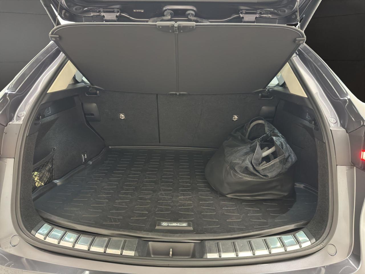 Lexus NX 450h+ 2.5 phev Premium 4wd e-cvt