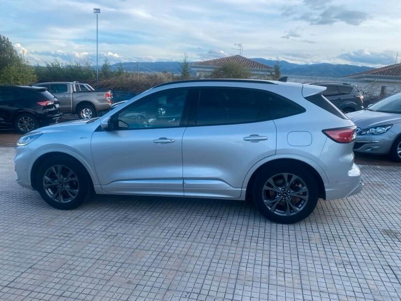 Ford Kuga 1.5 EcoBlue 120 CV 2WD ST-Line