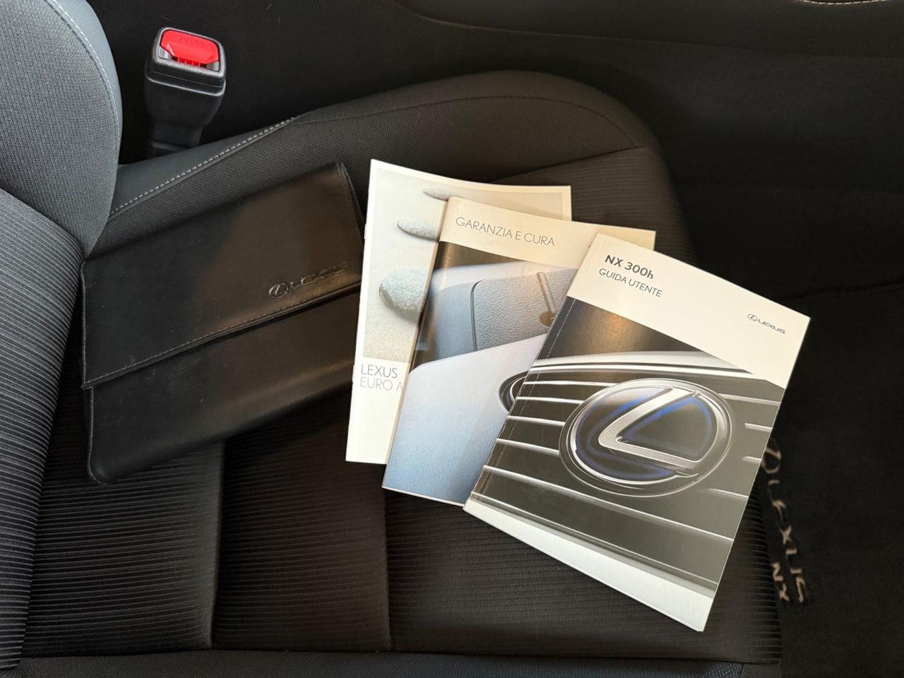 Lexus NX 300h Hybrid Business