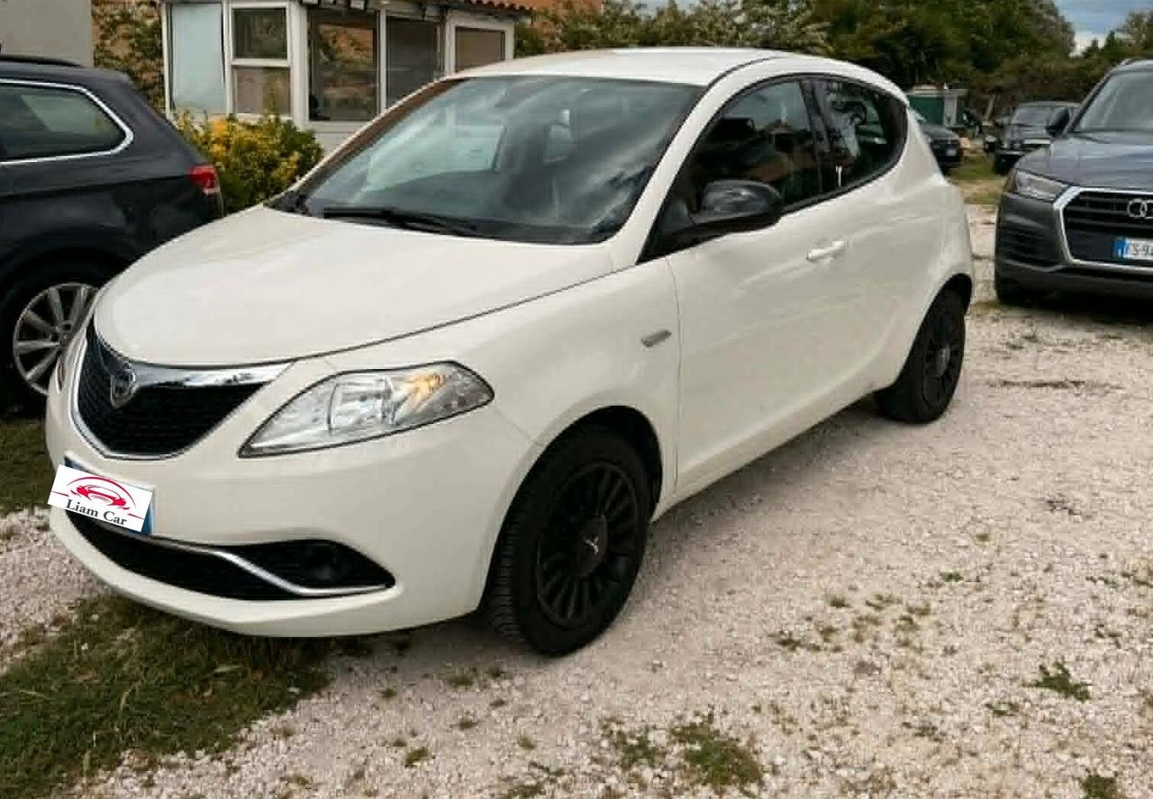 Lancia Ypsilon Elefantino 1.3Mjt 95cv Ok Neop.