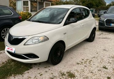 Lancia Ypsilon Elefantino 1.3Mjt 95cv Ok Neop.