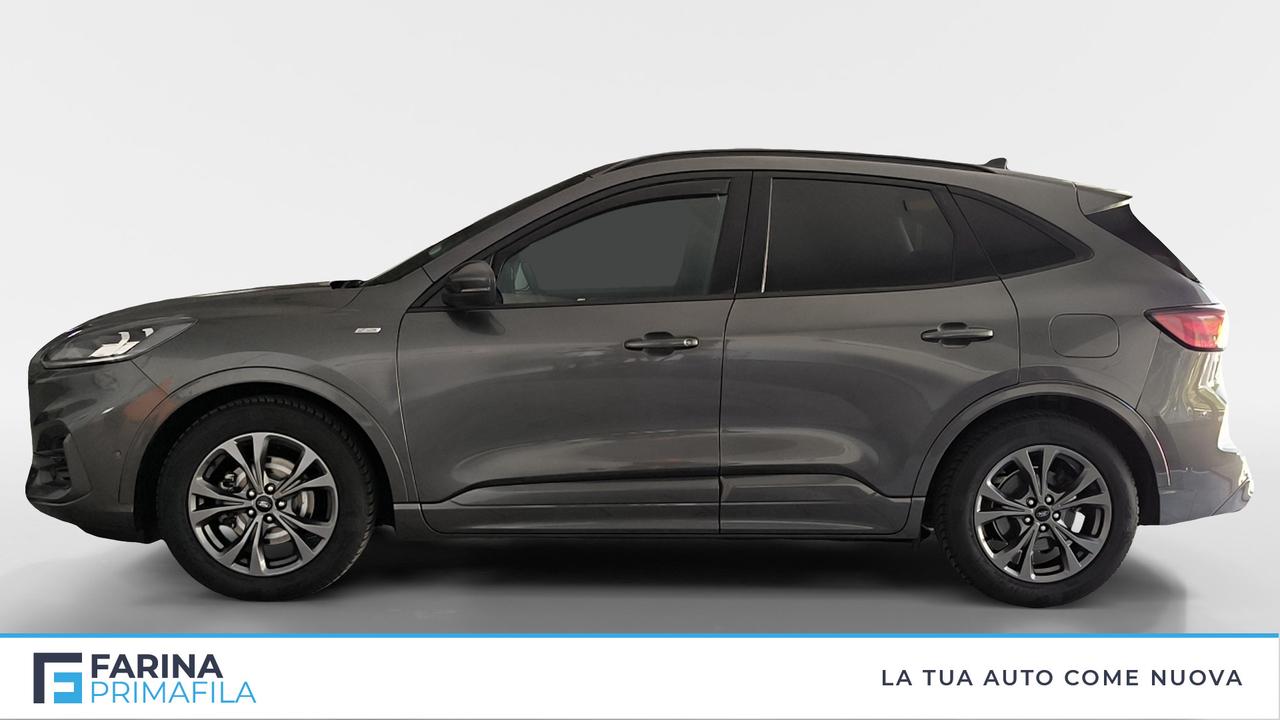 FORD Kuga III 2020 - Kuga 1.5 ecoblue ST-Line X 2wd 120cv auto