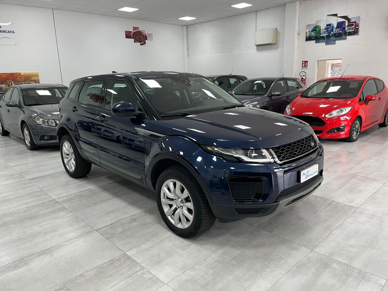 Land Rover Range Rover Evoque 5p 2.0 td4 SE Business edition 150cv auto