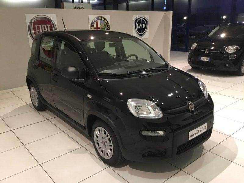 FIAT Panda Panda 1.0 FireFly S&S Hybrid Icon PROMO MESE + TARGA