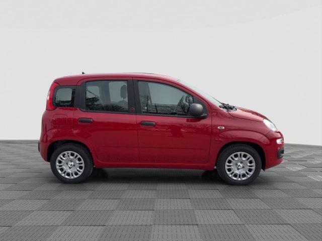 FIAT Panda Pandina 1.0 FireFly 65 CV Hybrid Pop