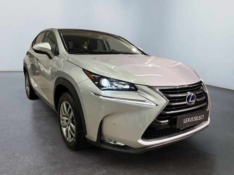 Lexus NX NX Hybrid 4WD Executive