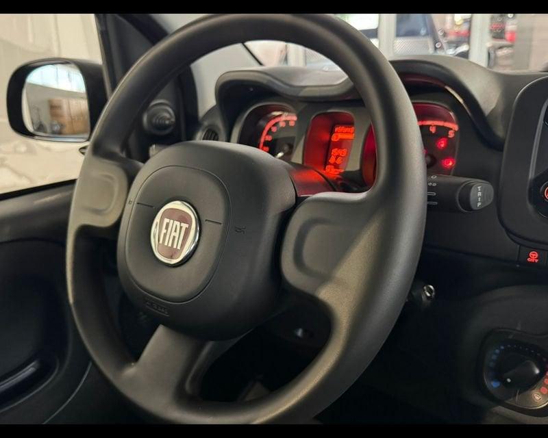 FIAT Panda 3ª serie 1.0 FireFly S&S Hybrid City Cross