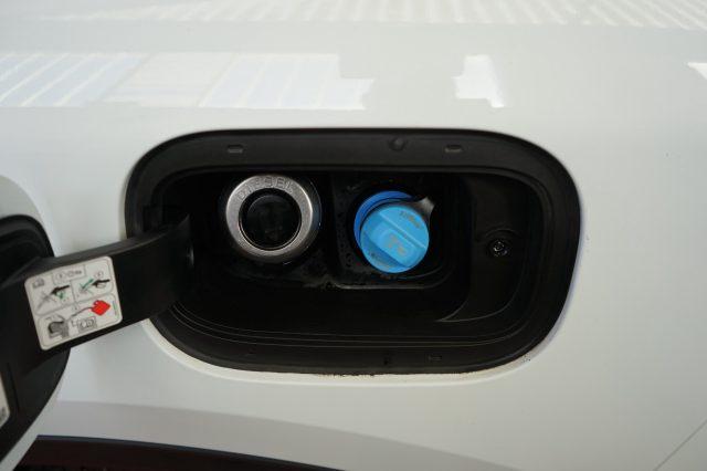 FORD Kuga 1.5 EcoBlue 120 CV 2WD Titanium Business