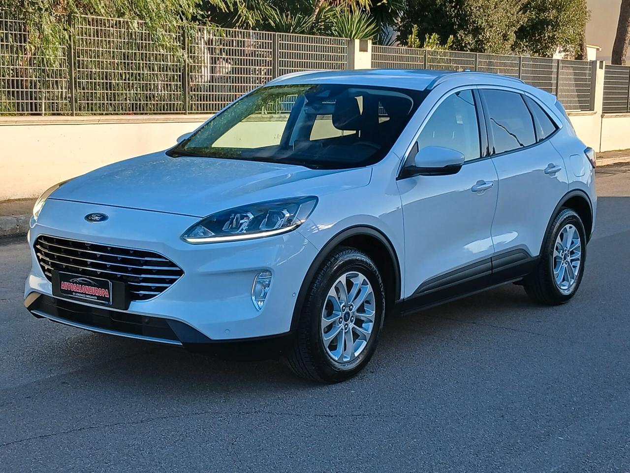 Ford Kuga 1.5 EcoBlue 120 CV 2WD Titanium