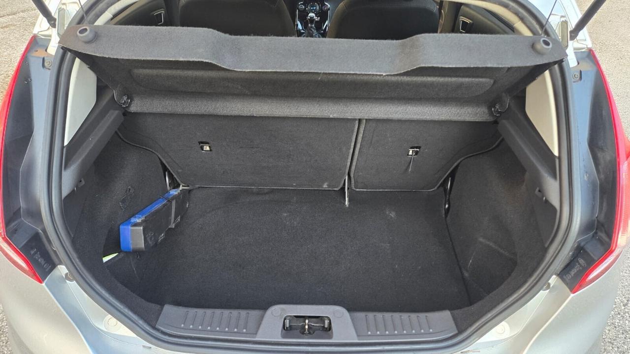 Ford Fiesta 1.5 TDCi 75CV 5 porte Titanium Neopate