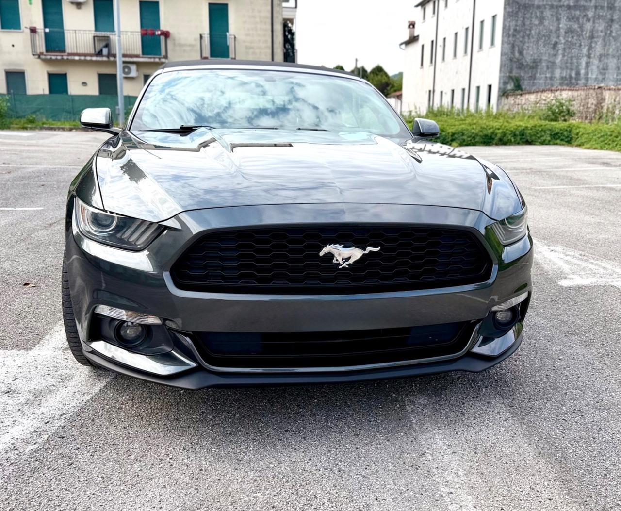 Ford Mustang America