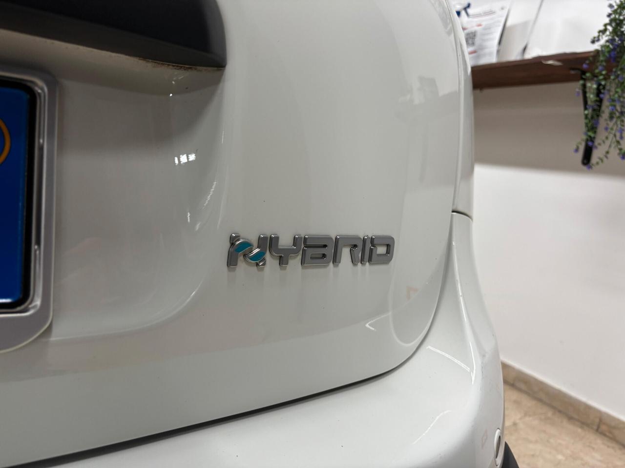 Fiat Panda Pandina Cross 1.0 Hybrid Vari Colori