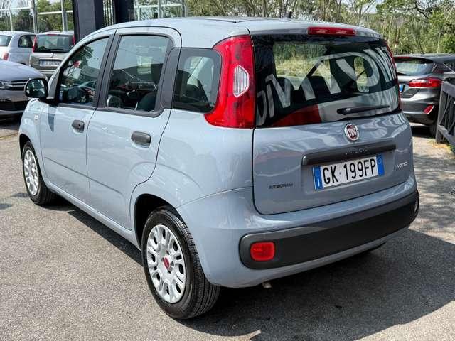 Fiat Panda Panda 1.0 firefly hybrid*GPL 24 MESI DI GARANZIA*