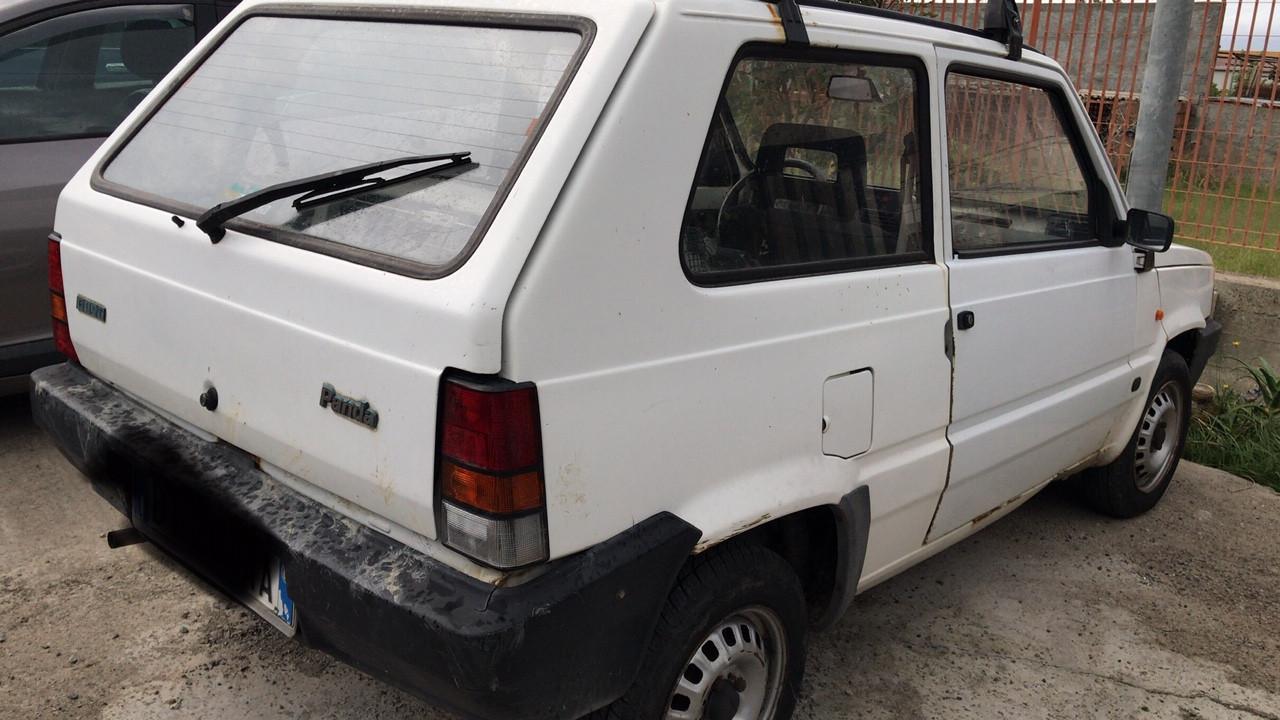 Fiat Panda 1100 i.e. cat Young