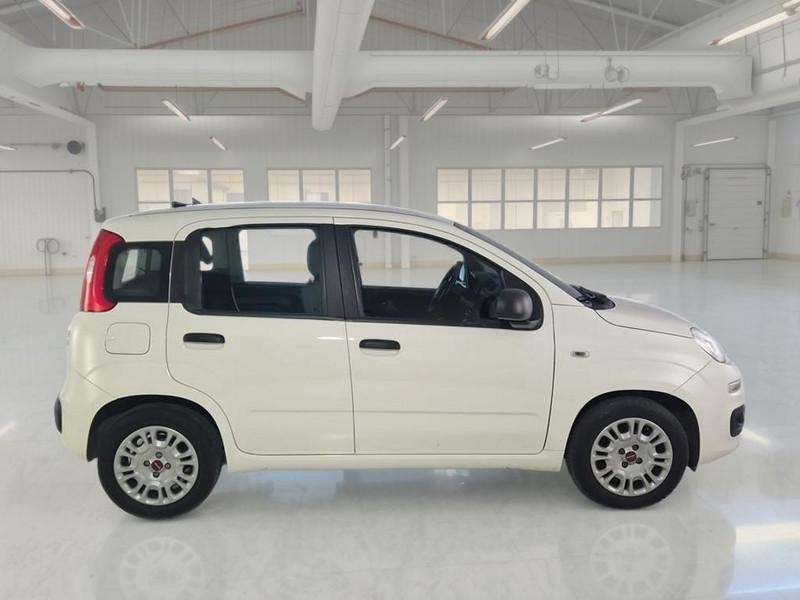 FIAT PANDA 1.0 FireFly 70cv S/S Hybrid 5 PORTE