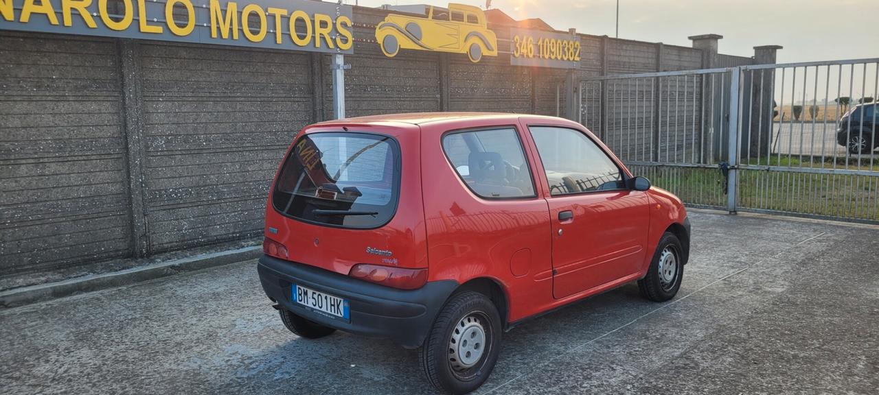 Fiat Seicento 900i cat Young