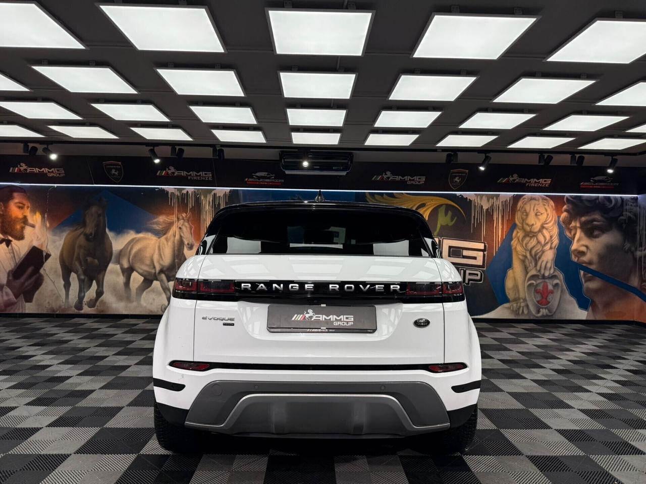 Land Rover Evoque 2.0 I4 200 CV AWD Auto S (387)