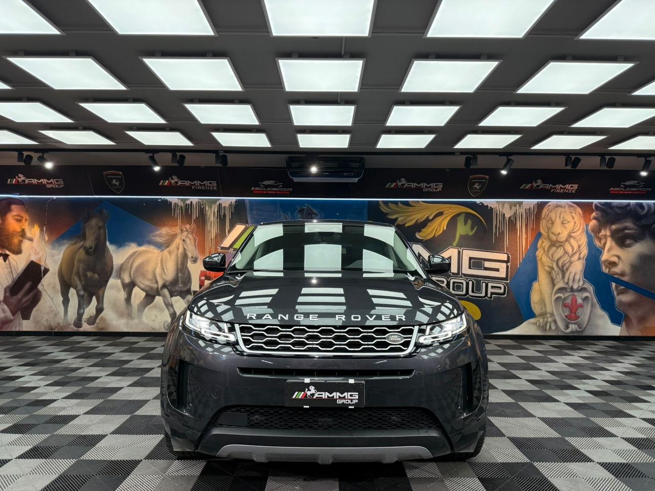 Land Rover Range Evoque 2.0D I4 163 CV AWD Auto SE AUTOCARRO (273)