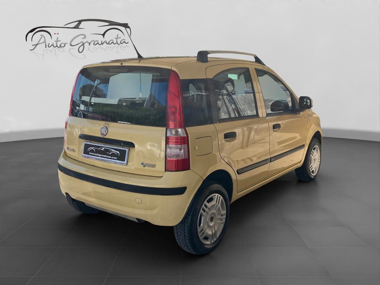 Fiat Panda 1.2 Dynamic NP 60cv NEOPATENTATI