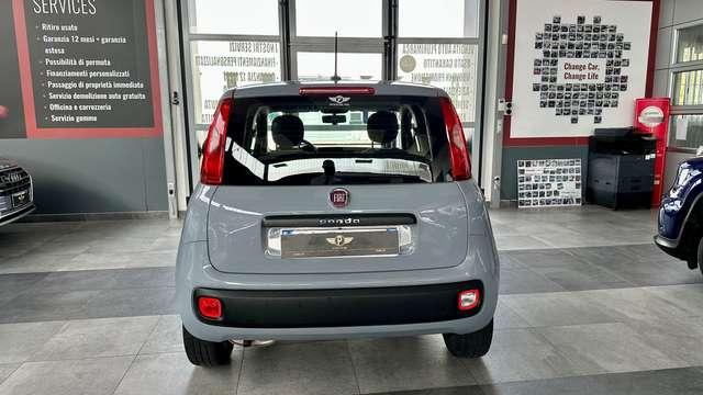 Fiat Panda 1.2 69CV E6d Temp S&S Easy + NEOPATENTATO