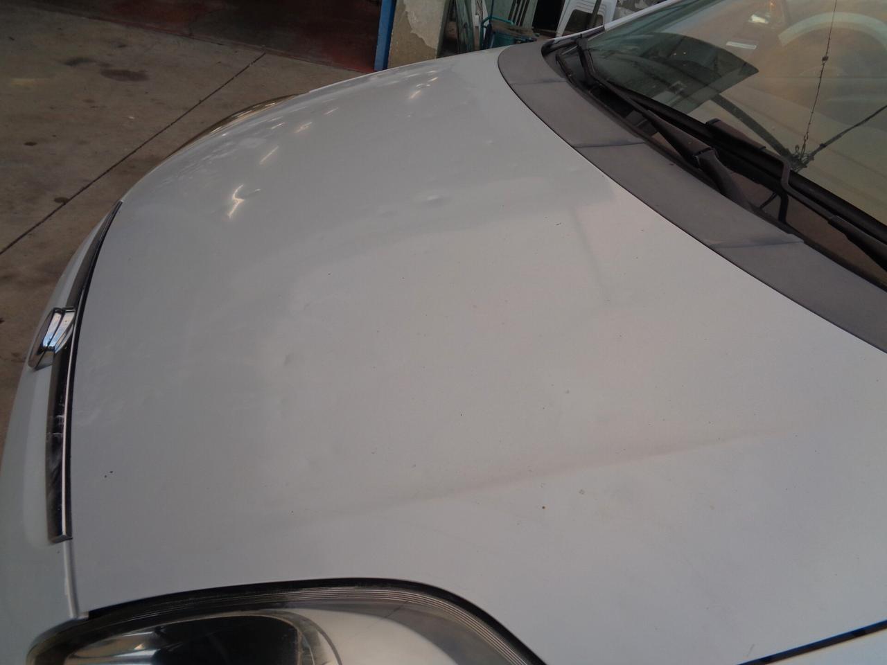 Fiat Punto Evo 1.3 Mjt 75 CV 5 porte Dynamic